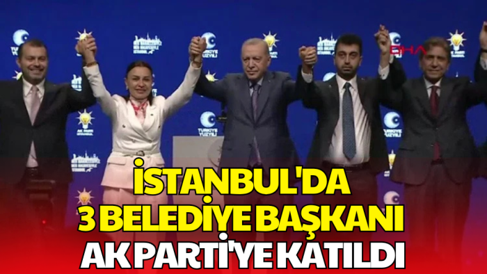 İstanbul'da 3 İlçe Belediyesi AK Parti'ye Geçti
